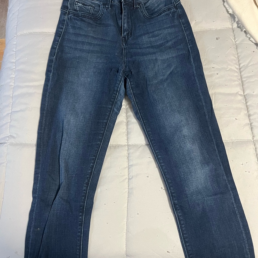 American Eagle Outfitters Blue Skinny Jeans Classic Denim